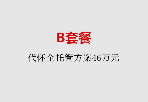绍兴B套餐：代怀全托管方案46万元